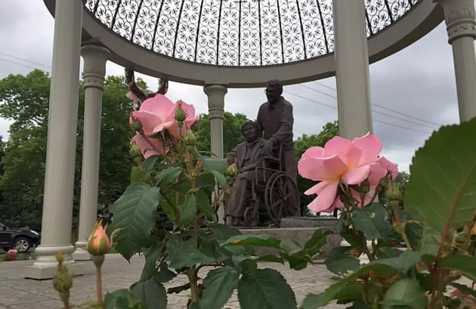 Celebrate National Rose Month With A Visit To The Clemens Gardens