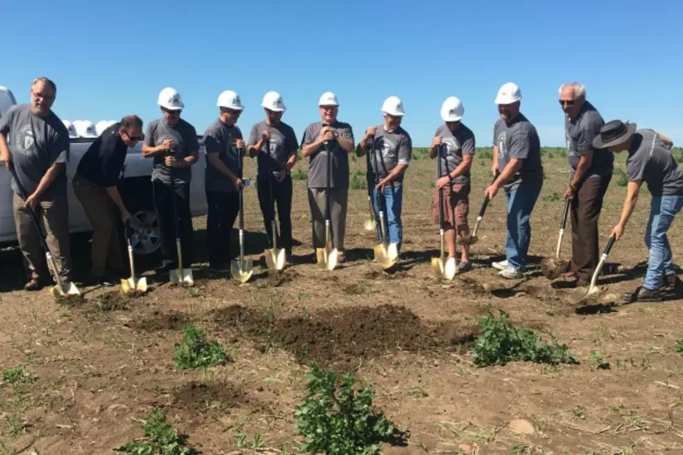 Largest Hops Farm Comes to St. Cloud Area [PHOTOS]