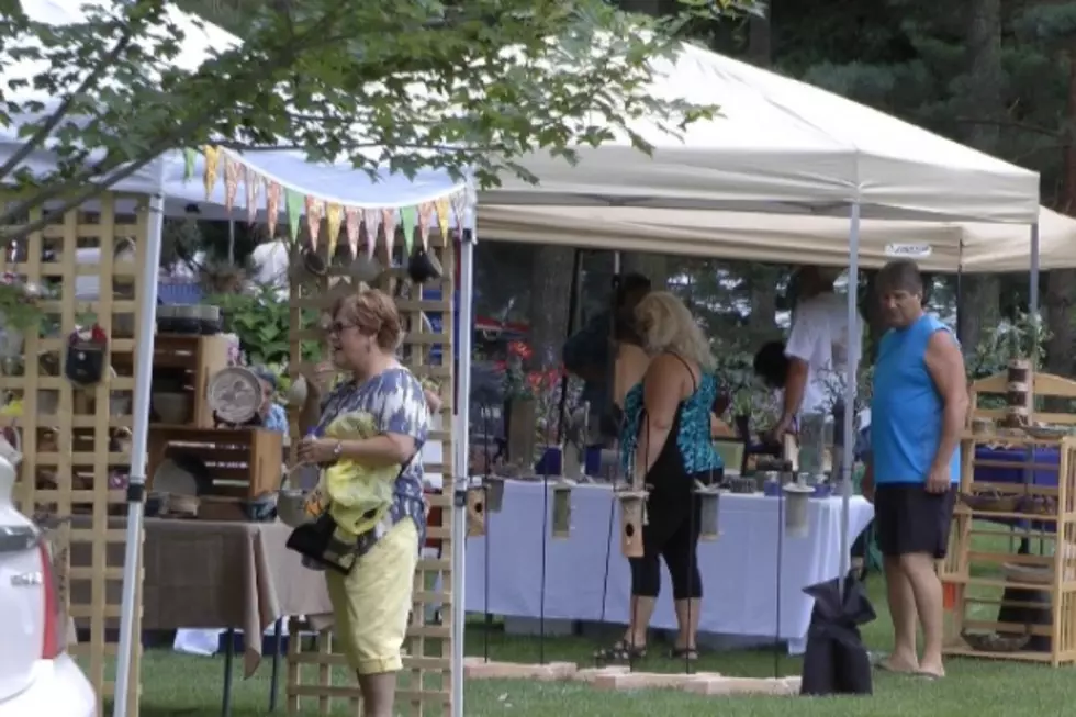 Weather Cooperates For Art Lovers At Art Fair in the Gardens [VIDEO]