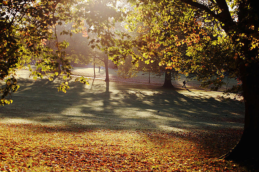 Who’s Ready For Fall Foliage?!