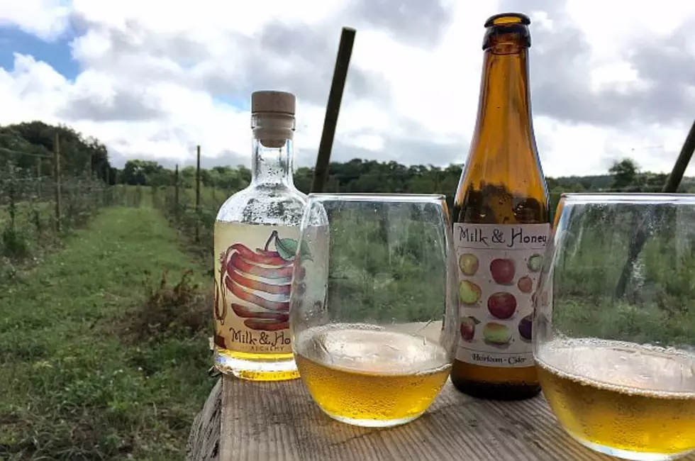 Hard Cider Is Booming In Popularity, And A Cold Spring Orchard Is Leading The Way