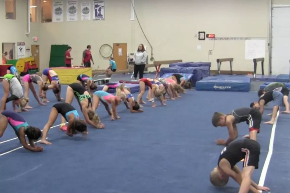 Open House for the Albany Area Gymnastics Association