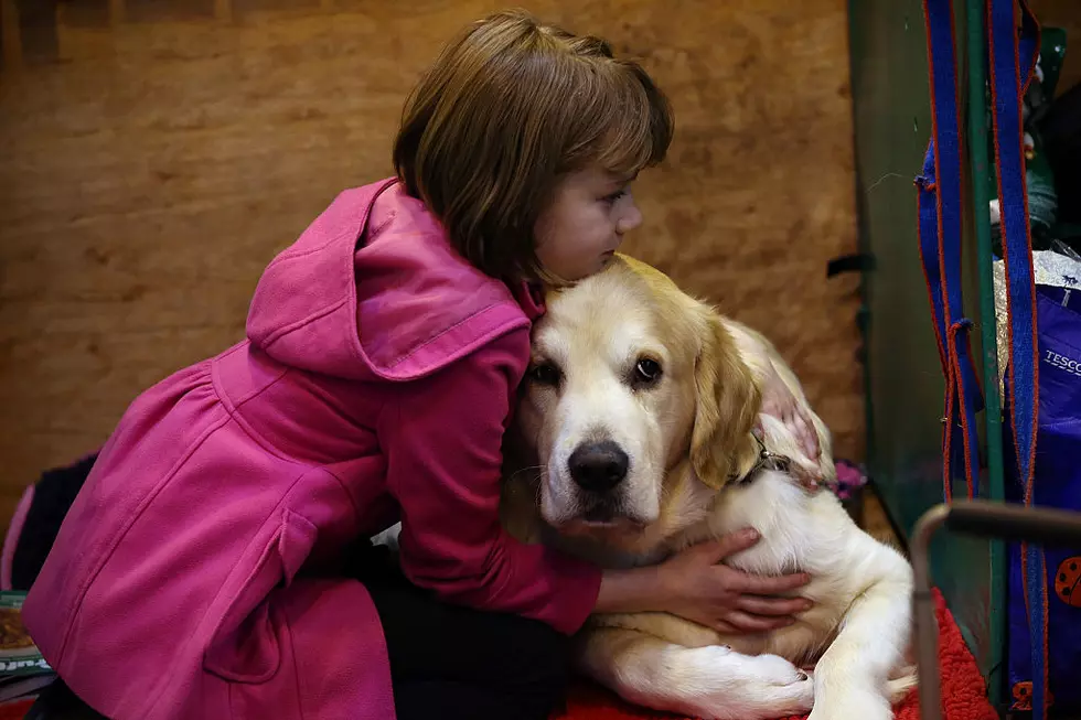 Dog Rescued From Overhang Roof at His Home