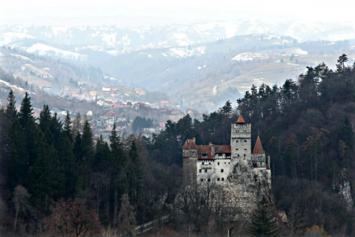 Холодный лес Румыния замок Дракулы