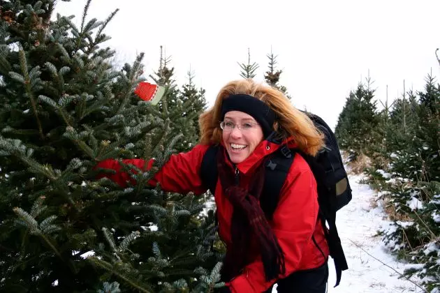 Minnesota&#8217;s Christmas Tree Growers Ready For the Season