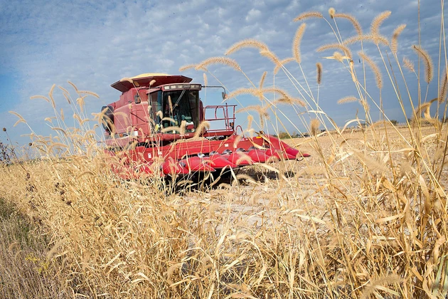 USDA Says Minnesota Harvests Pick up but Continue to Lag