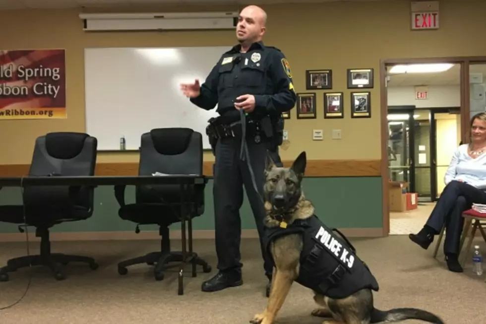 Cold Spring Police Dog Riley Receives Bullet Resistant Vest