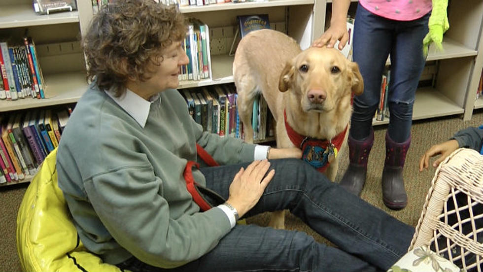 Reading To Man’s Best Friend [VIDEO]