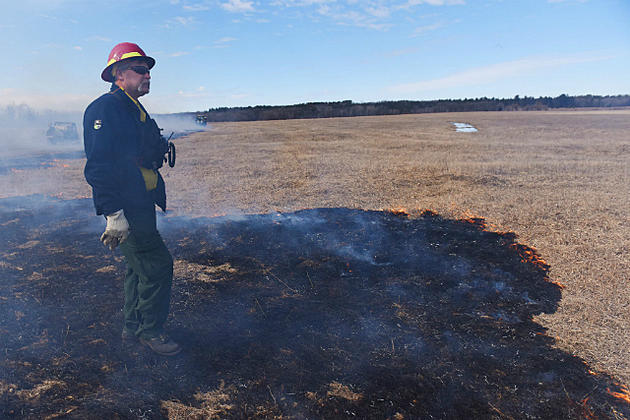 Camp Ripley Doing Controlled Burns on 13,000 Acres