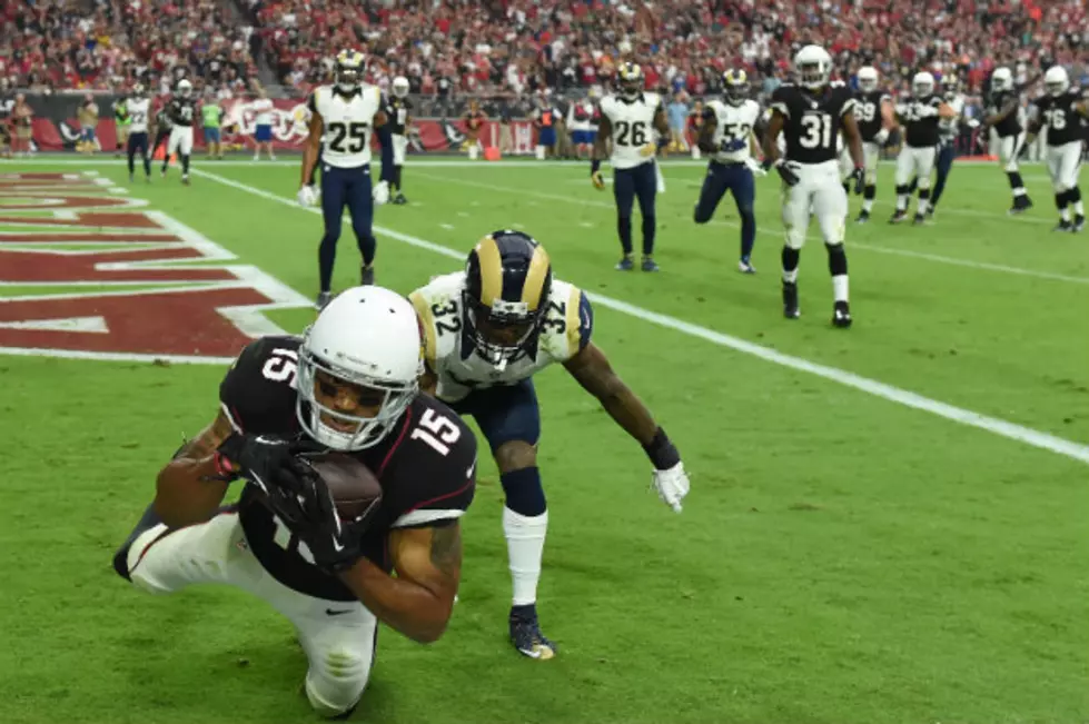 Vikings to Sign Former Cardinals Receiver, St. Paul Native Michael Floyd