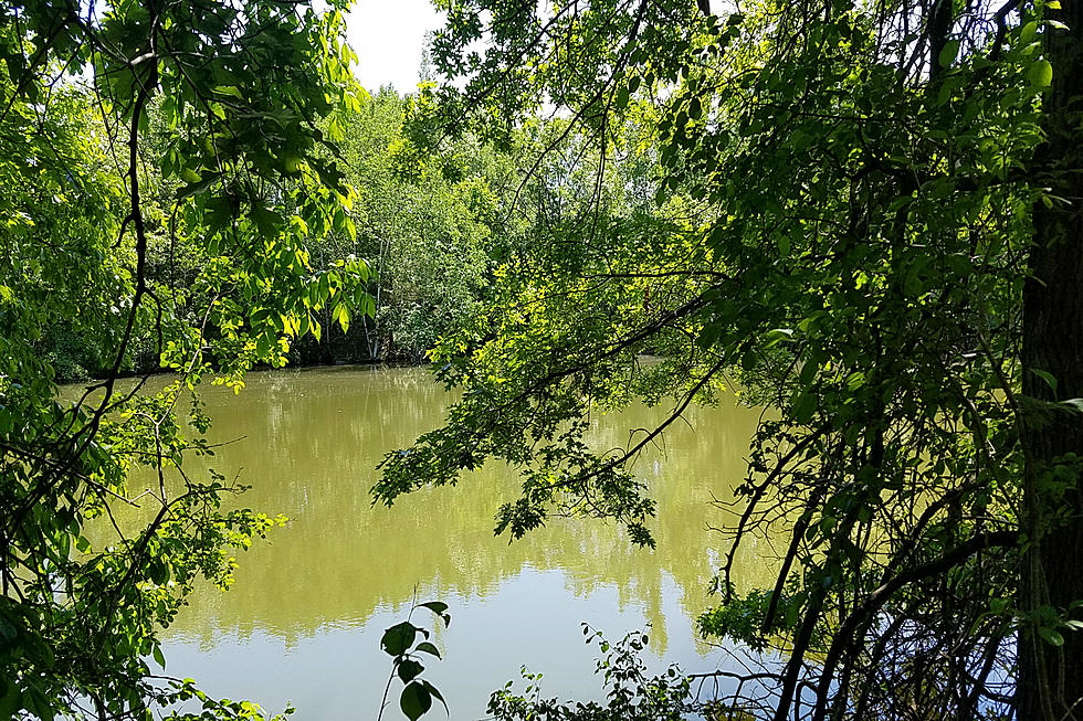 Swimmer Rescued From Quarry Park