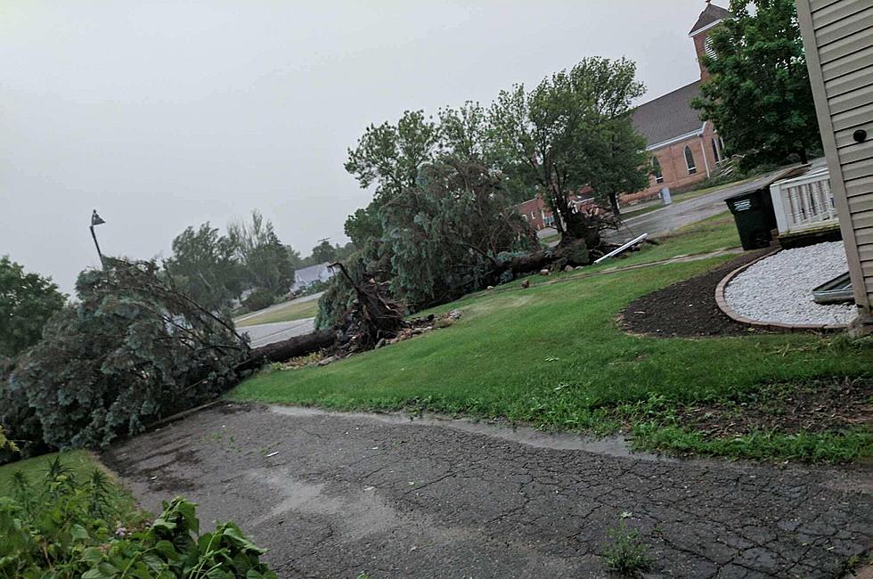 Strong Storms Knock Down Trees, Power Lines [VIDEO]