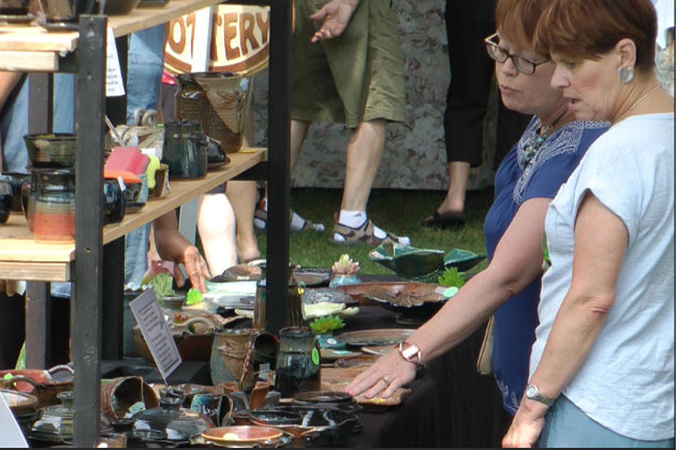 Art Fair in the Gardens Draws Large Crowd of Art Enthusiasts  [VIDEO]