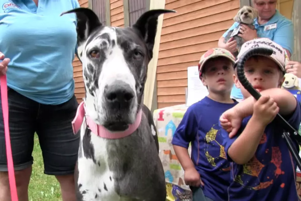 Sartell Church Hosts Annual Pet Blessing [VIDEO]
