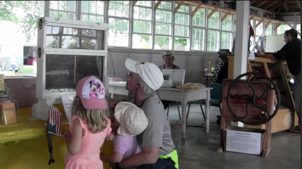 Minnesota Honey Queen Educates Public at Benton County Fair [VIDEO]