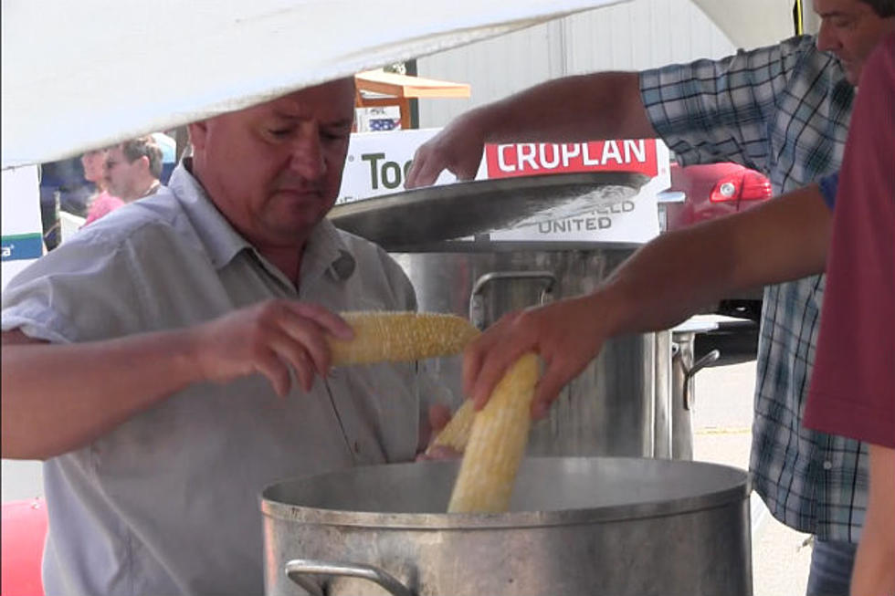 Free Corn Feed Helps Promote Central Minnesota Agriculture [VIDEO]