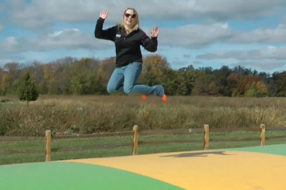 Around the Town: A & G Produce’s Corn Maze Opens this Weekend [VIDEO]
