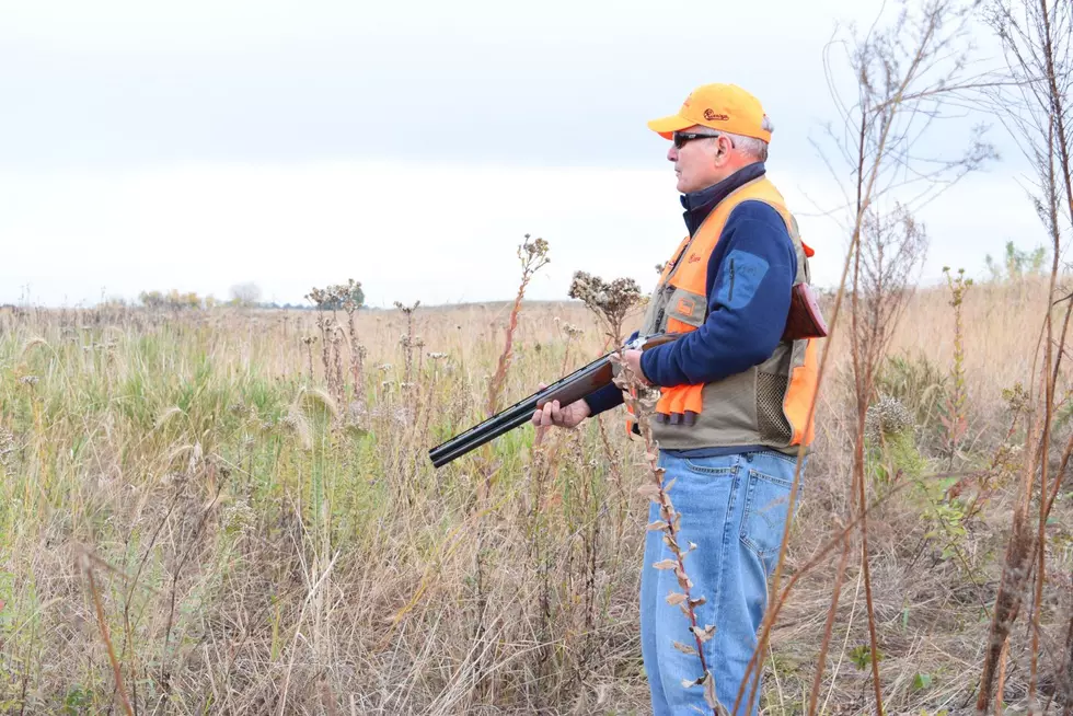 Few Good Opportunities in Governor&#8217;s Pheasant Hunt