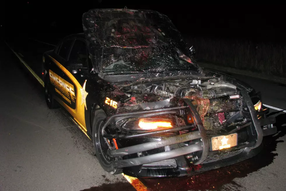 Deputy Strikes Deer Head On, Reminder to Watch Out for Animals [VIDEO]