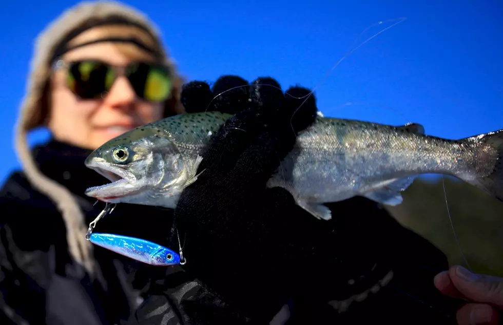 Machines to Monitor Water Quality in Trout Fishing River