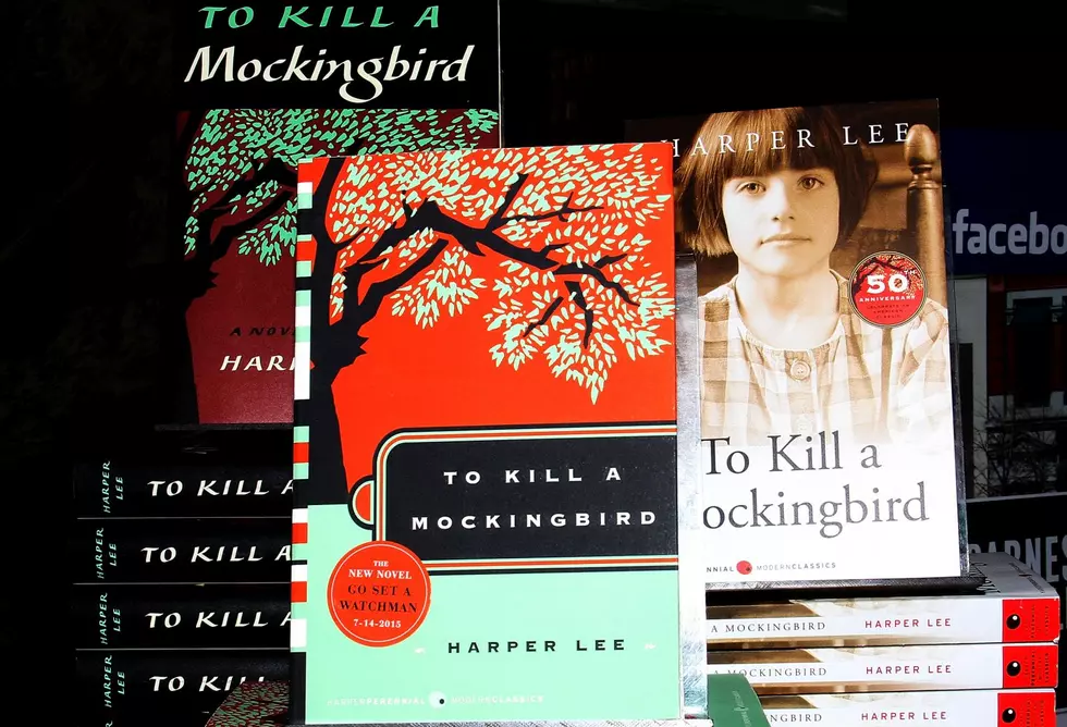 Minnesota District Drops 2 Novels Due to Racial Slurs