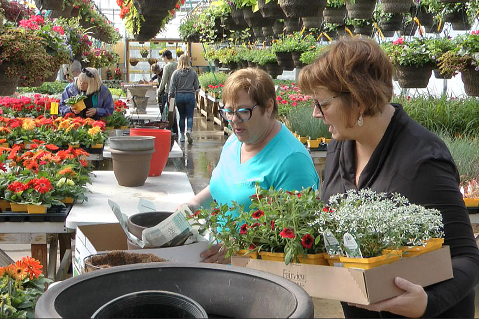 Fairview Garden’s Planting Parties Give Gardeners a Head Start