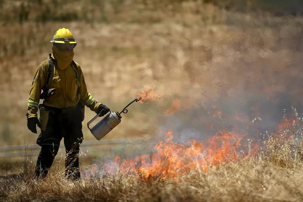 Quarry Park Holding Prescribed Burn