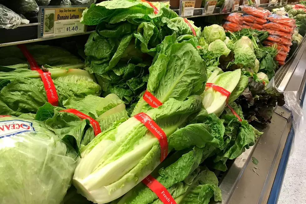 Romaine Lettuce Outbreak Tied to Contaminated Canal Water