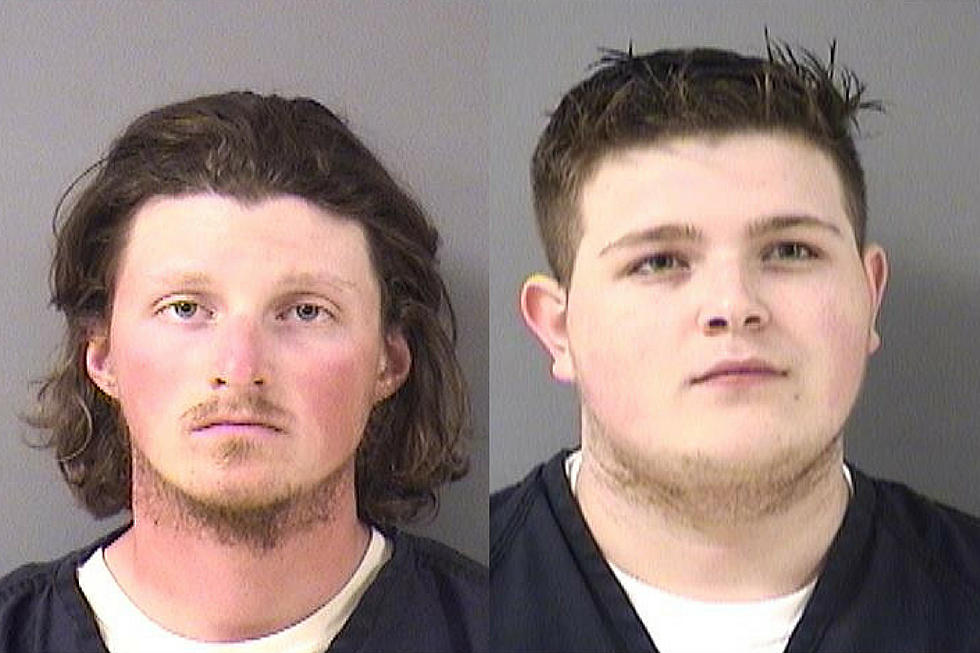 Traffic Stop in Foley Leads to Two Arrests