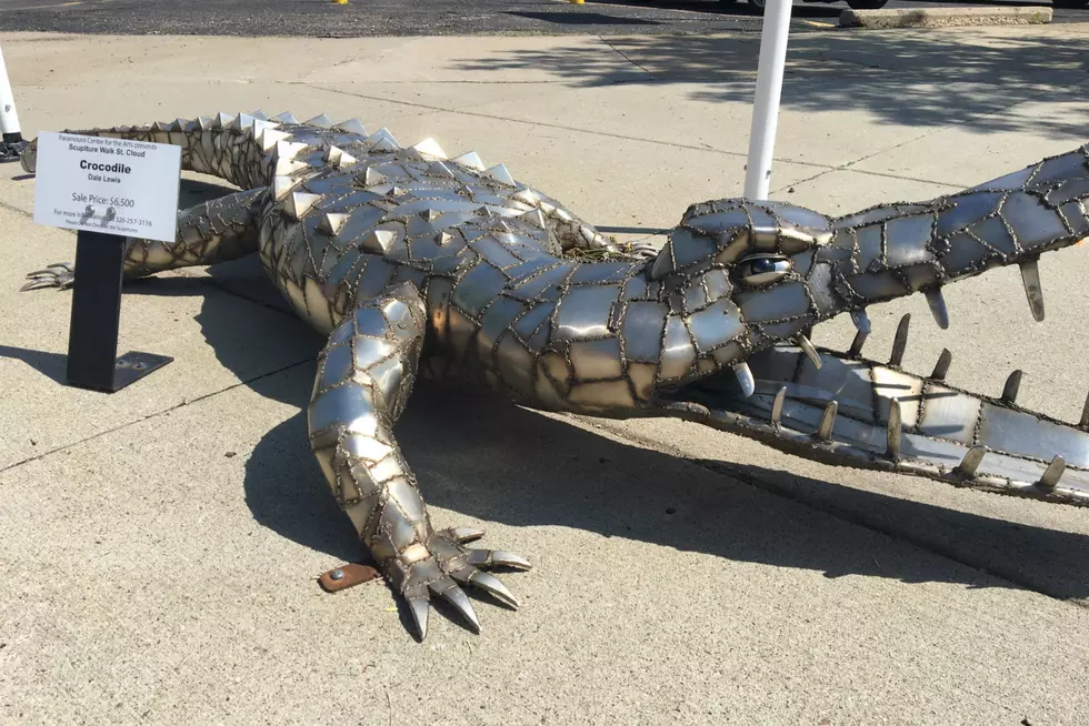 Crocodile Sculpture Stolen from Downtown St. Cloud [VIDEO]