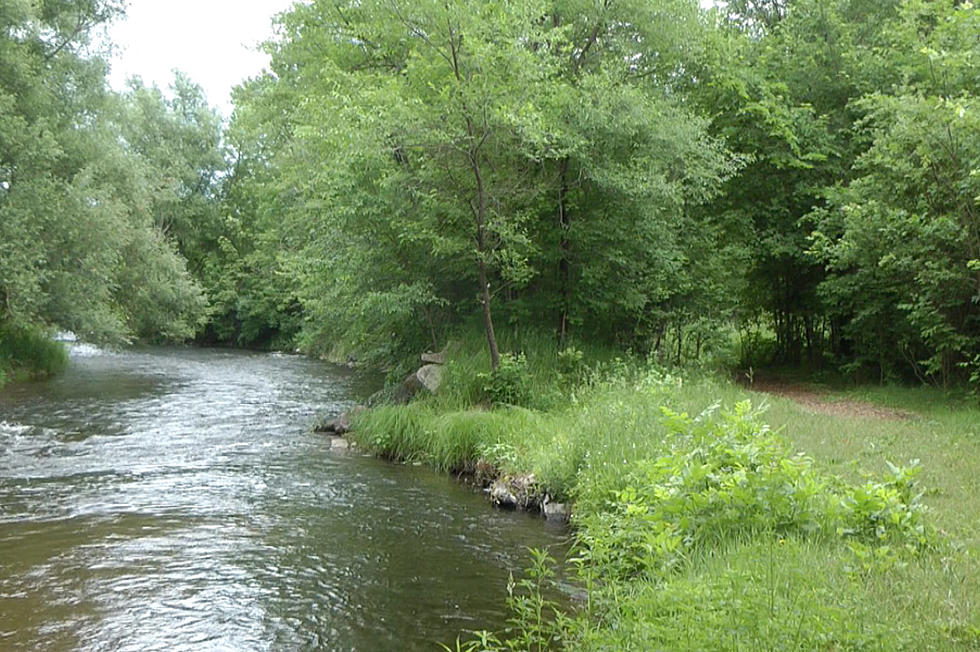 Pollution Control Efforts Credited for Cleaner Sauk River Chain