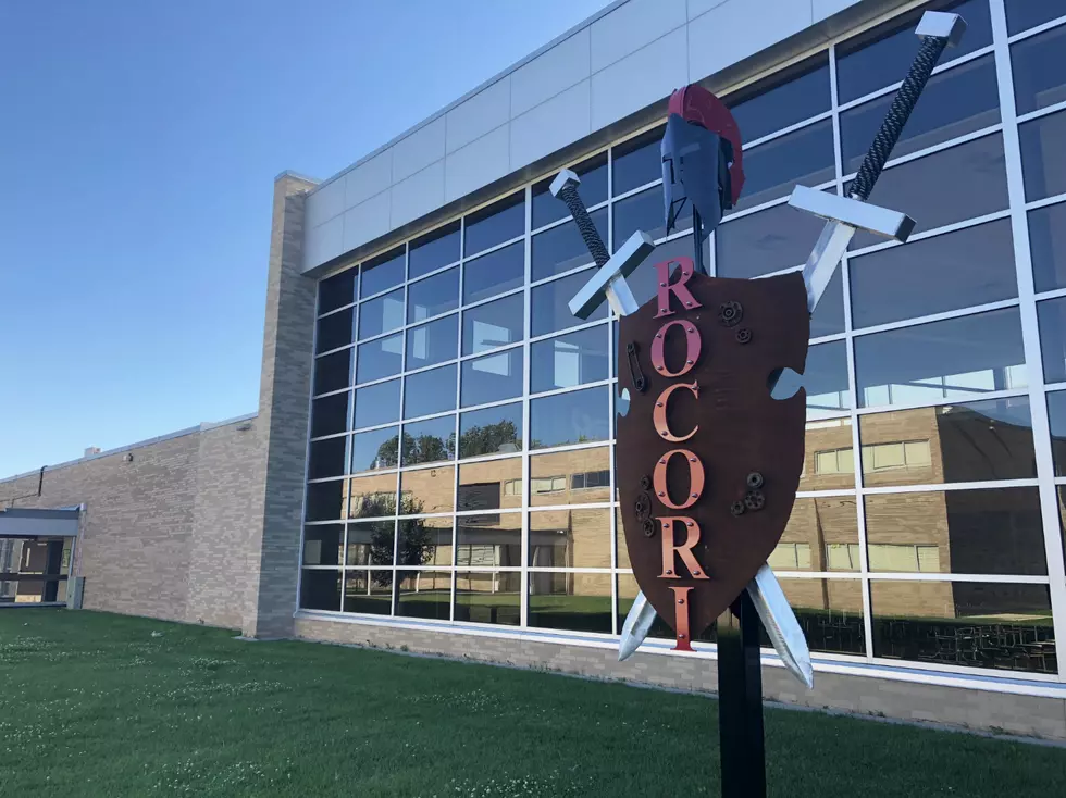 ROCORI Board Accepts Member Resignation