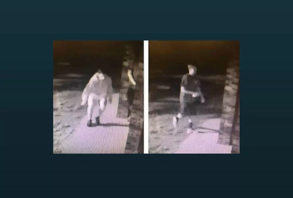 Maplewood Police Asking for Help in Catching Mosque Vandals