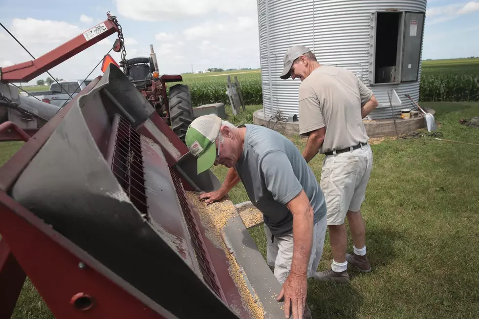 Farmers Discuss Tariffs At Annual Farmfest in Minnesota