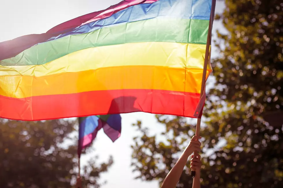 Twin Cities Pride Postponed Amid COVID-19