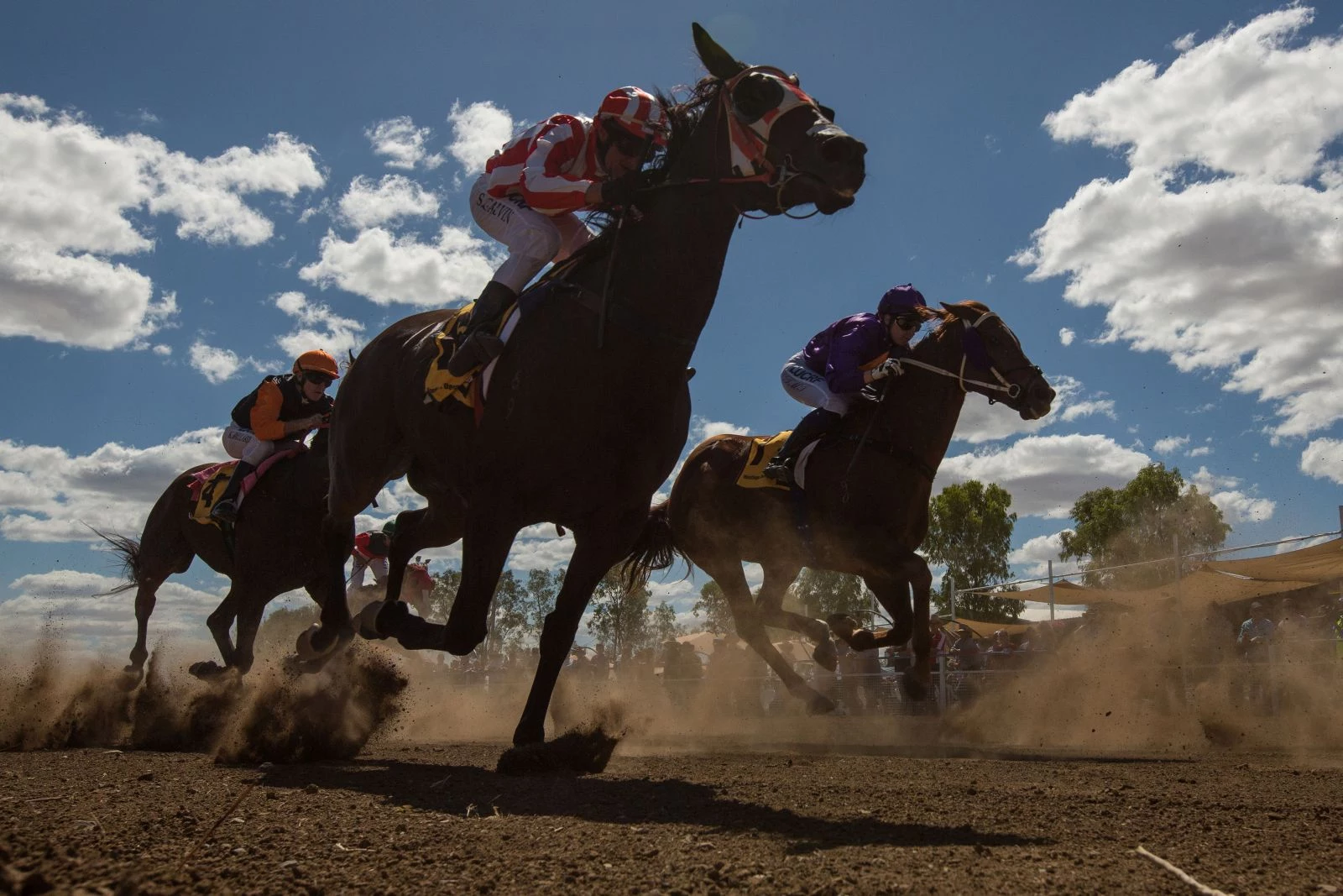 canterbury park extreme race day