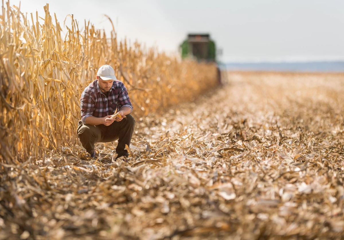 Minnesota Corn Growers Association Call to Action