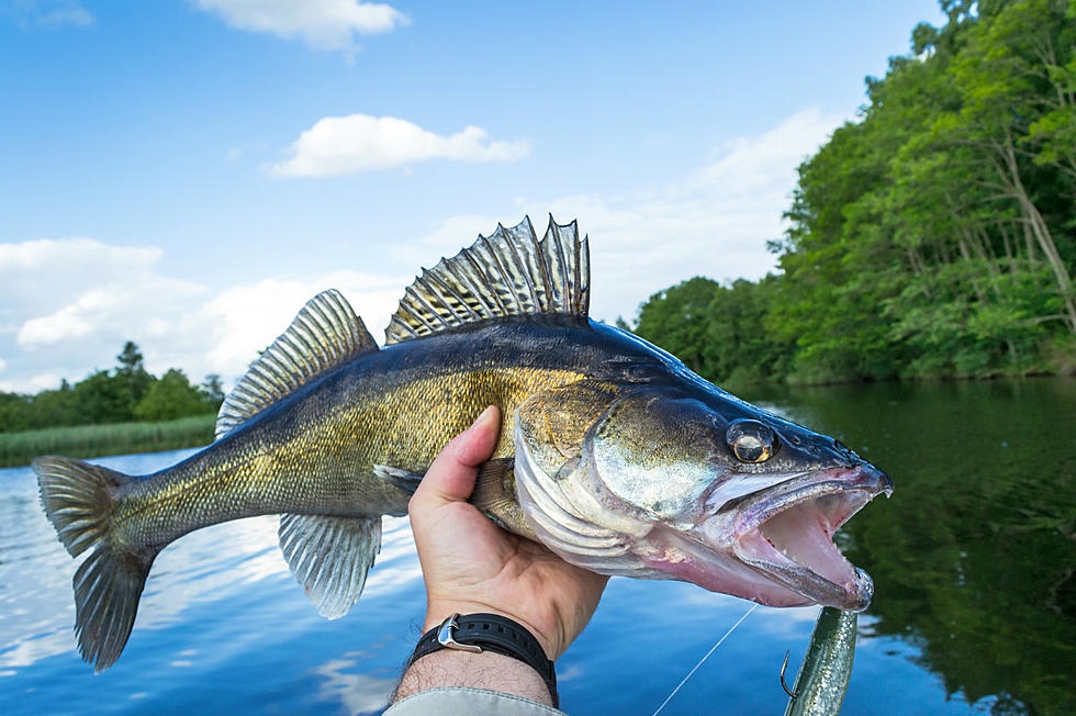 DNR: Social Distancing to Be part of Fishing Opener