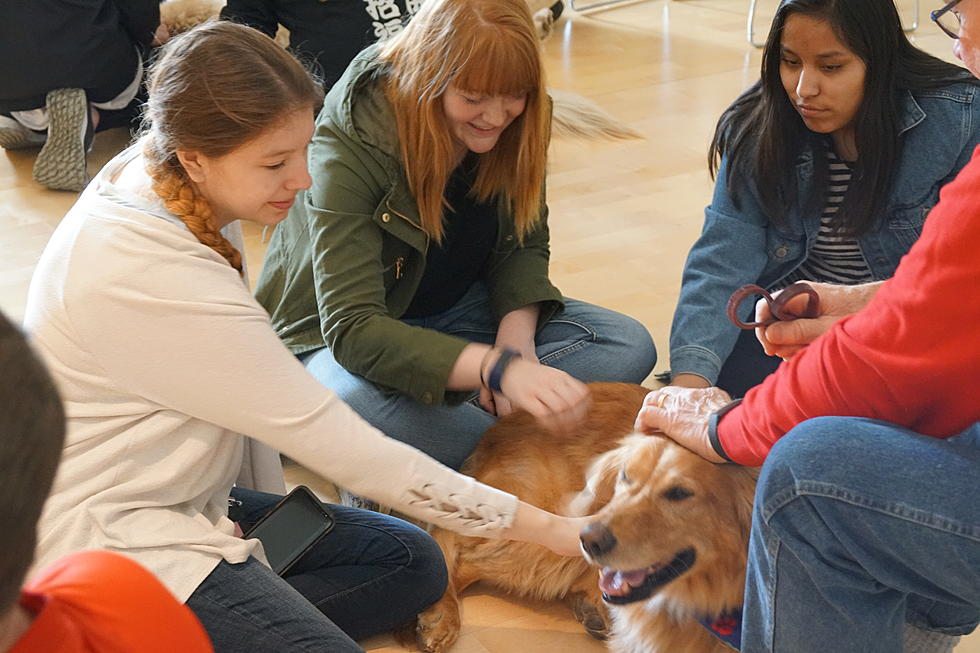 SCSU Students Invited to De-Stress with Pets Ahead of Finals