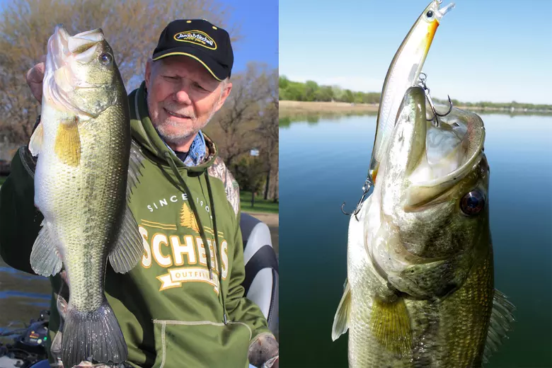 Bass Fishing at Public Parks with Texas Rigs & Wacky Rigs
