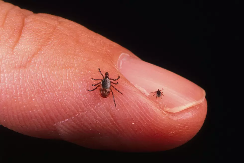 Collins Bill to Combat Lyme and Other Tick Diseases Moves On