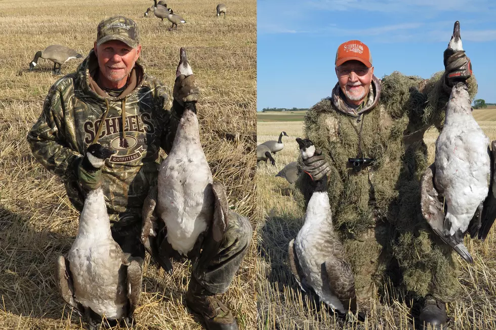 Three Scenarios for Early Season Geese