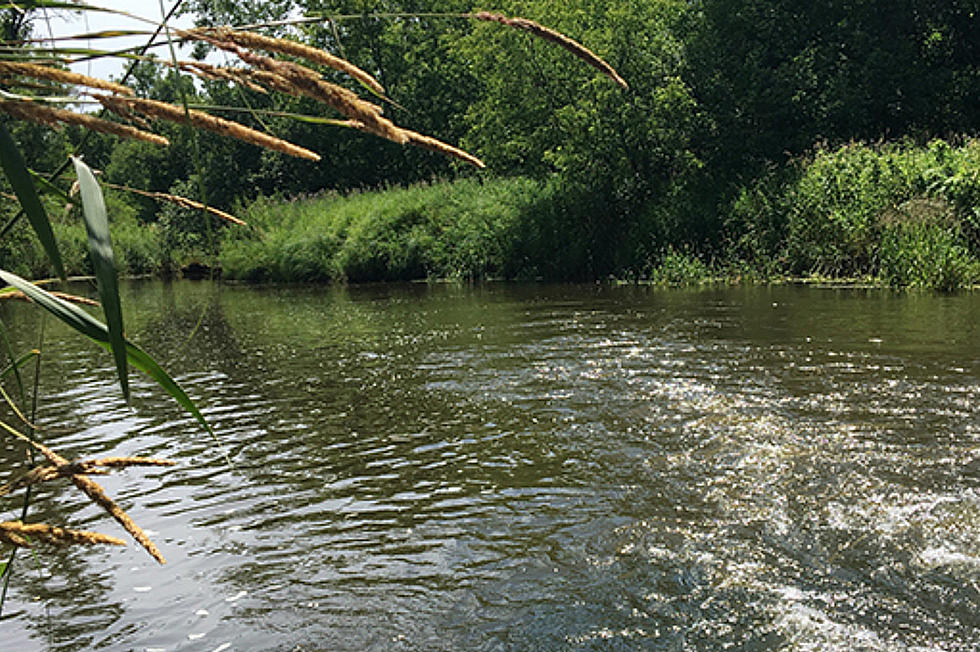 DNR Hosting Online Public Forum on Little Rock Creek