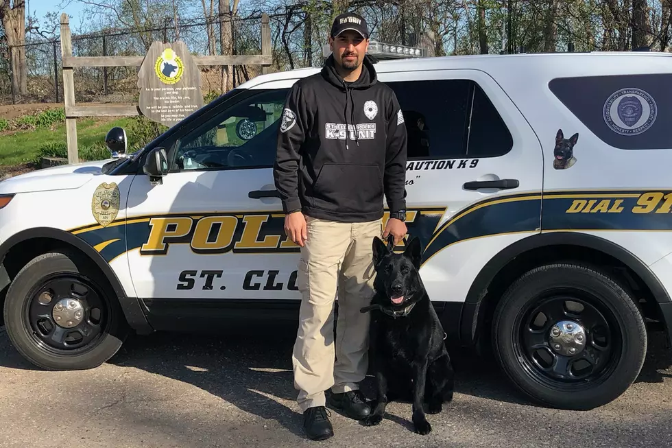 Former Waite Park Police Dog Running With New Pack [VIDEO]