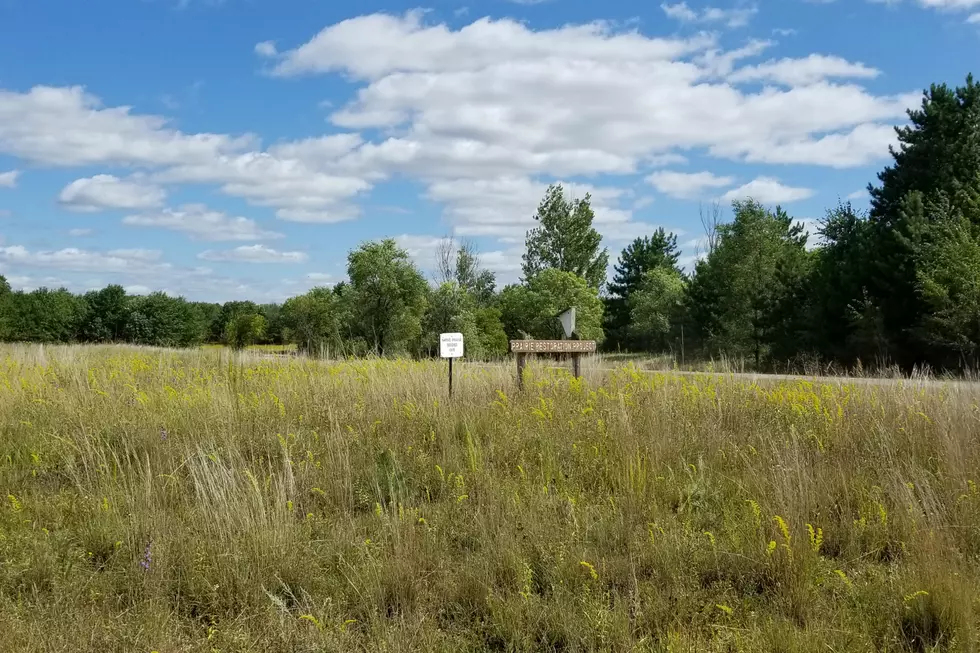 Prairie Restoration Paying off at Stearns County Parks [VIDEO]