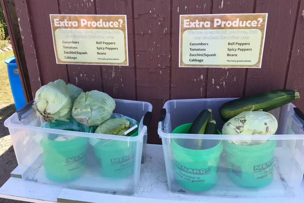 Extra Produce From Community Garden Going to Sartell Students