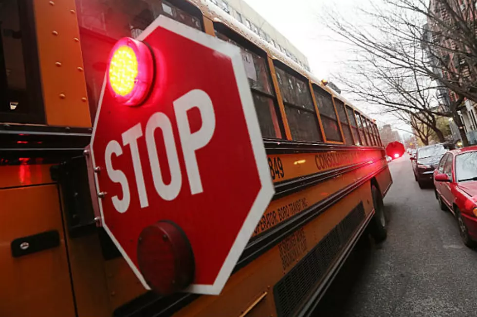 School Bus Driver Charged in Fatal Minnesota Hit-and-Run