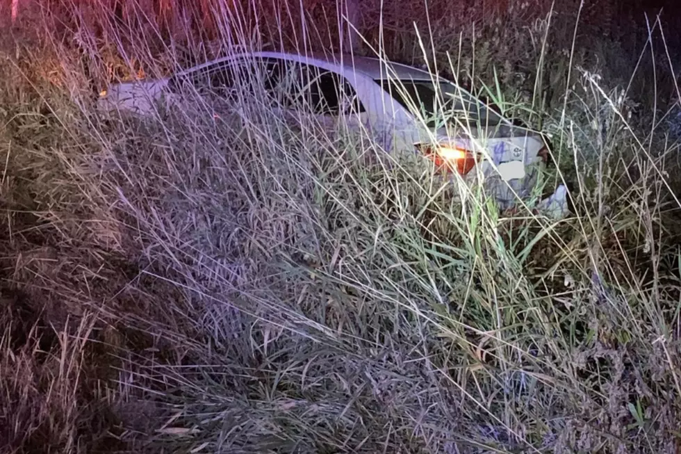 Dead Deer in Roadway Results in Early Morning Crash