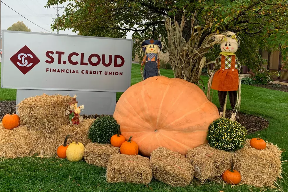 Giant Pumpkin Brings Community Wide Contests