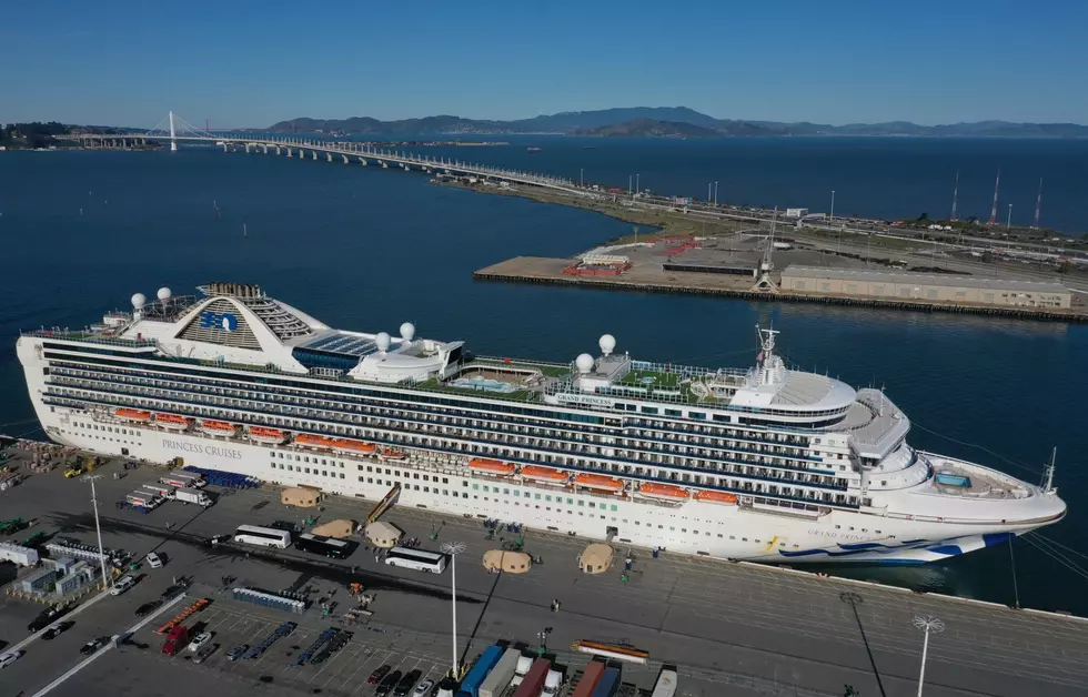 Princess Cruises Suspending Global Operations for 60 Days